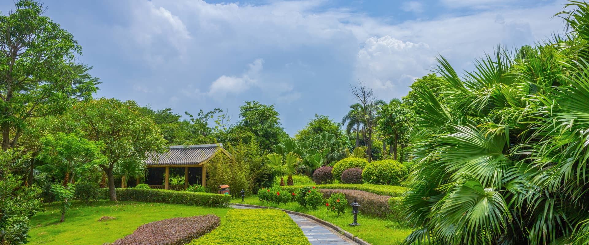 ayx2025：日本接近相奷中文字幕 MBA智库